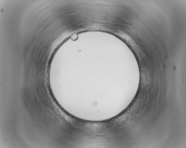 X0000088221286200706121821