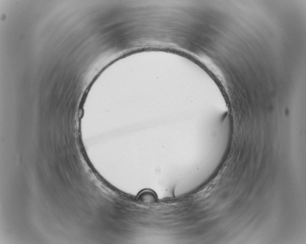 X0000088221287200706121821