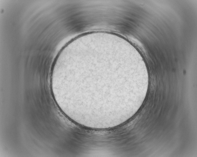 X0000088221288200706121821