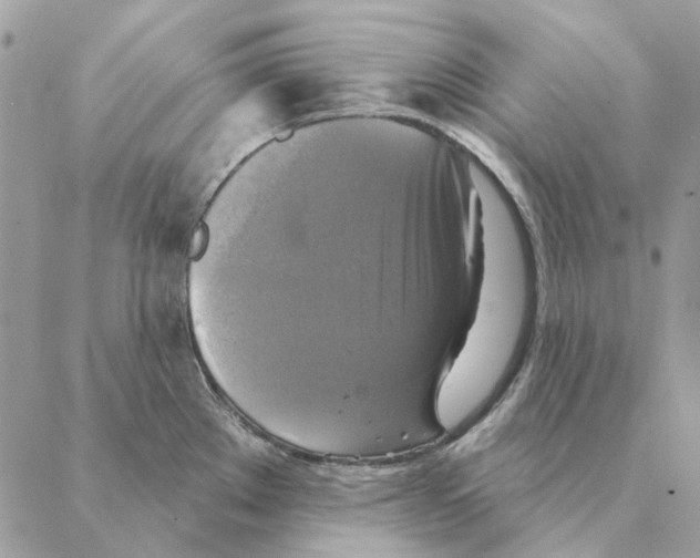 X0000088221289200706121821