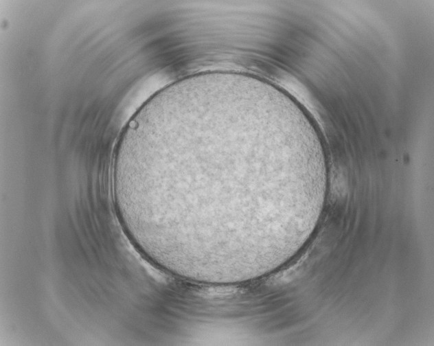 X0000088221290200706121821