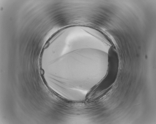 X0000088221291200706121821