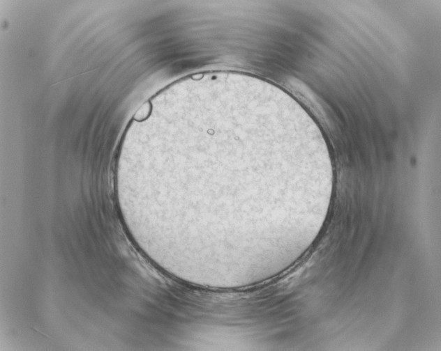 X0000088221292200706121821