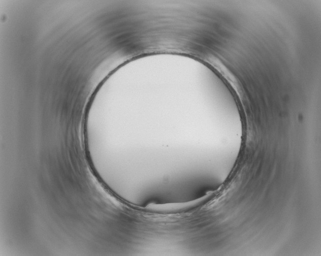 X0000088221293200706121821