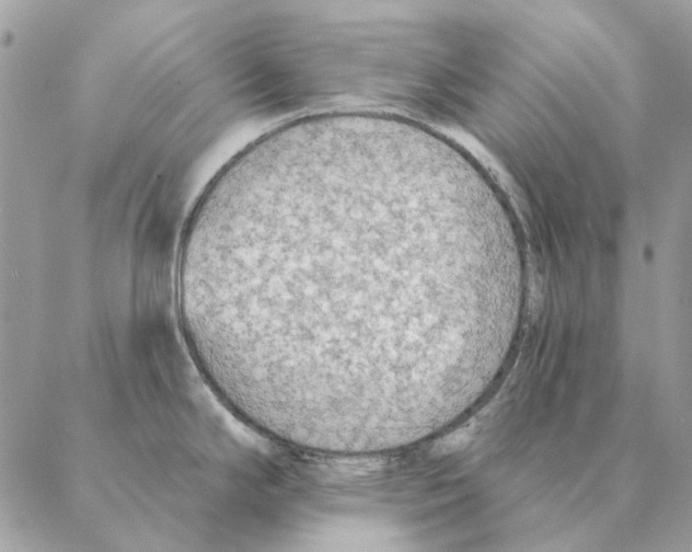 X0000088221294200706121821