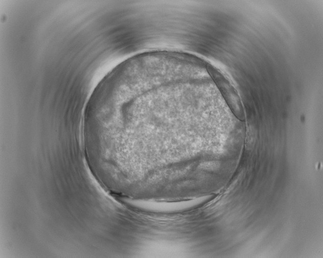 X0000088221295200706121821