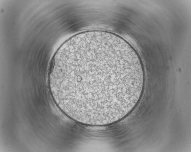 X0000088221296200706121821