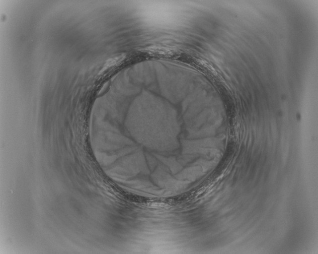 X0000088221297200706121820