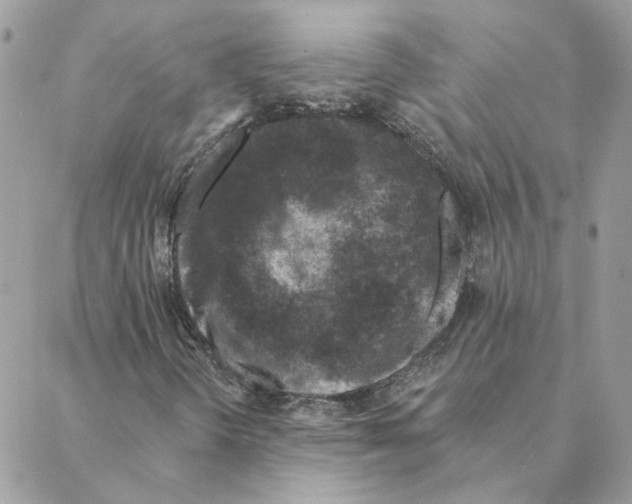 X0000088221298200706121820