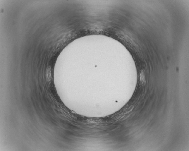 X0000088221299200706121820