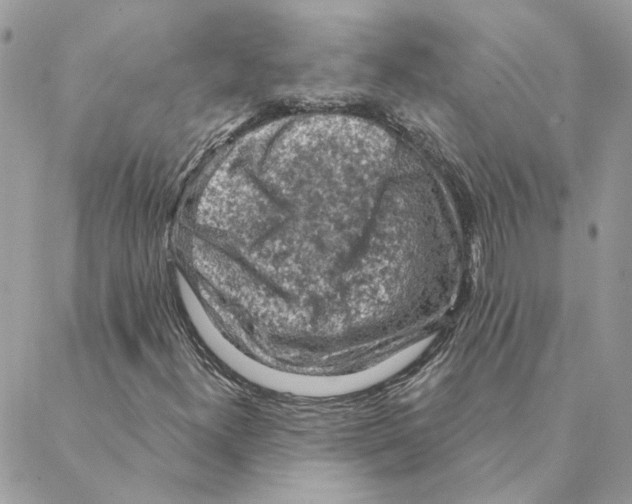 X0000088221300200706121820