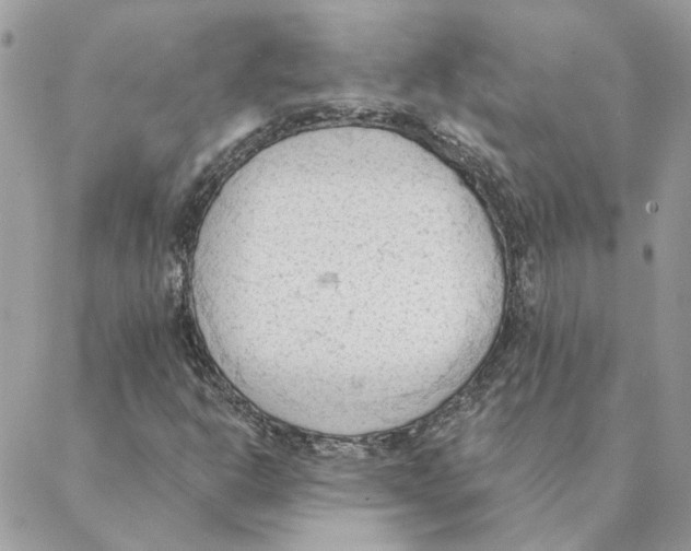 X0000088221302200706121820