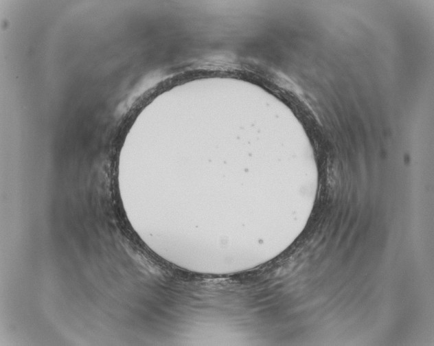 X0000088221304200706121820