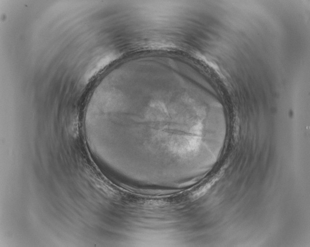 X0000088221306200706121820