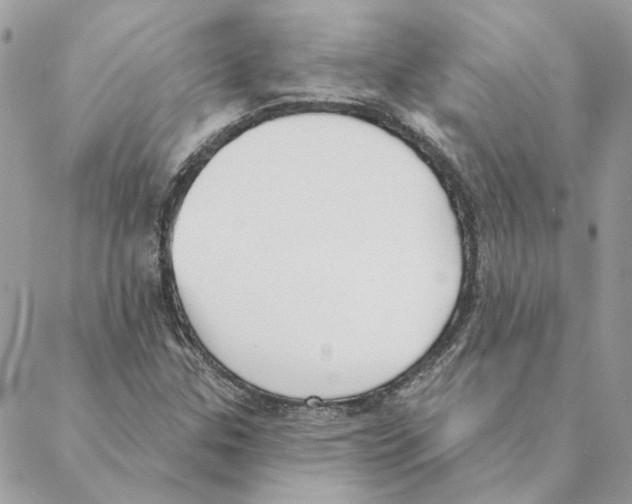 X0000088221307200706121820