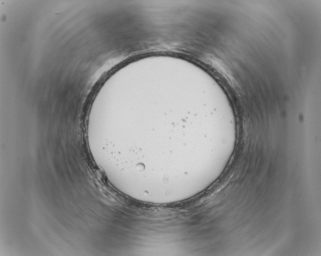 X0000088221308200706121820