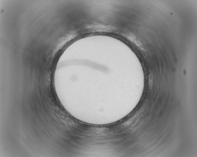 X0000088221309200706121820