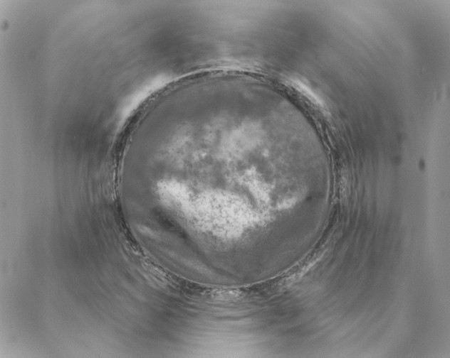 X0000088221310200706121820