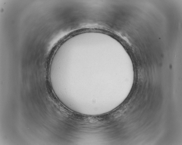 X0000088221311200706121820