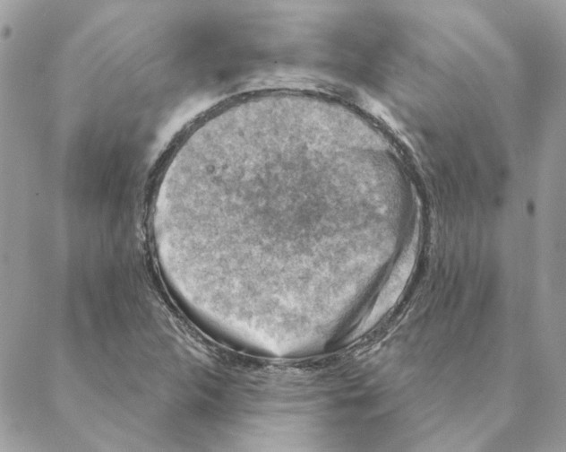 X0000088221312200706121820