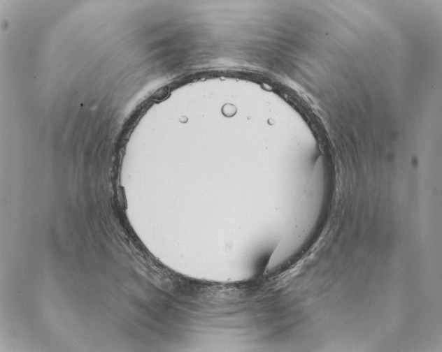 X0000088221314200706121820