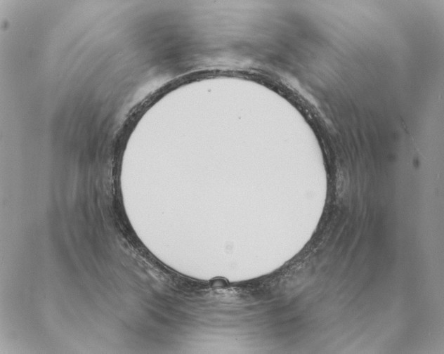 X0000088221315200706121820