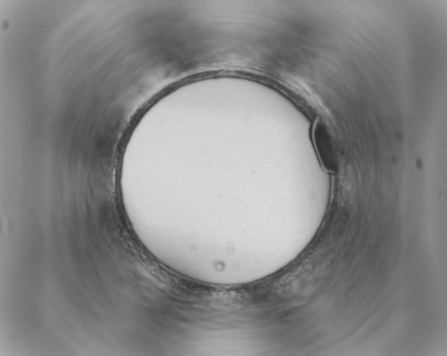 X0000088221316200706121820