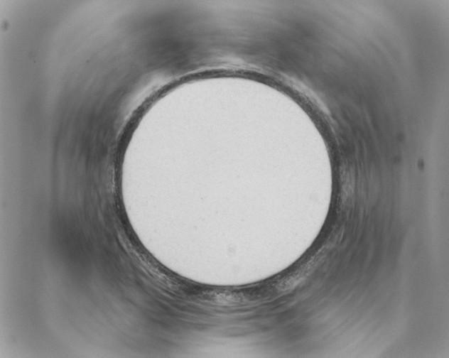 X0000088221318200706121820