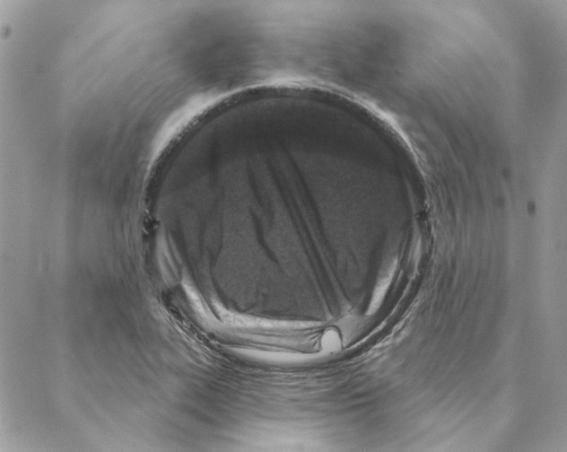 X0000088221319200706121820