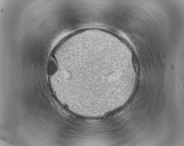 X0000088221320200706121820