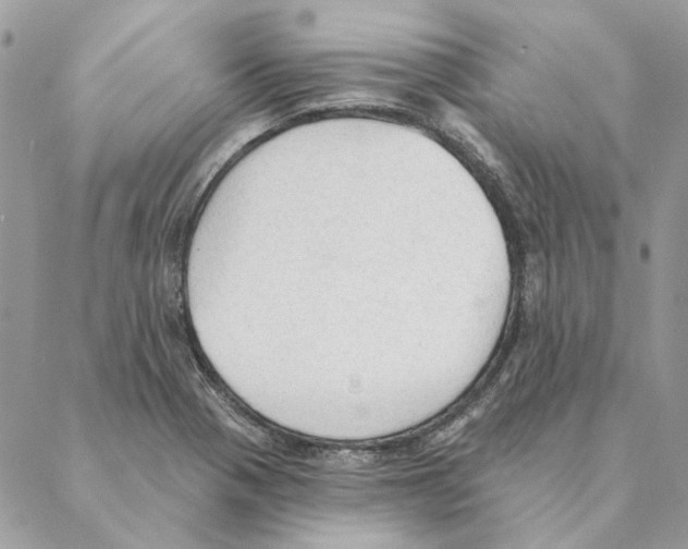 X0000088221321200706121820