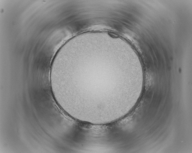 X0000088221322200706121820