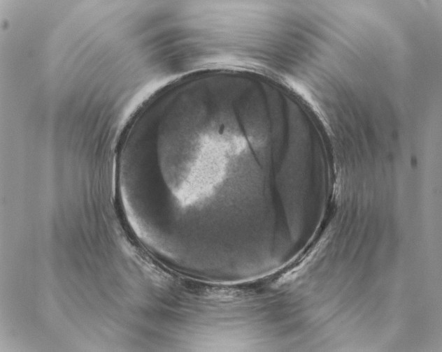 X0000088221323200706121820