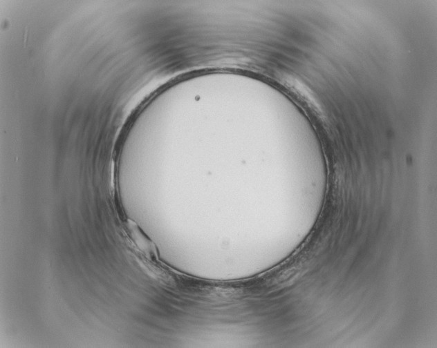 X0000088221324200706121820