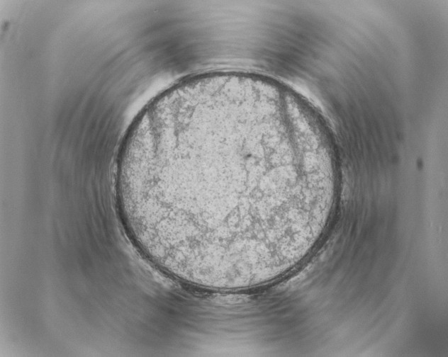 X0000088221325200706121820