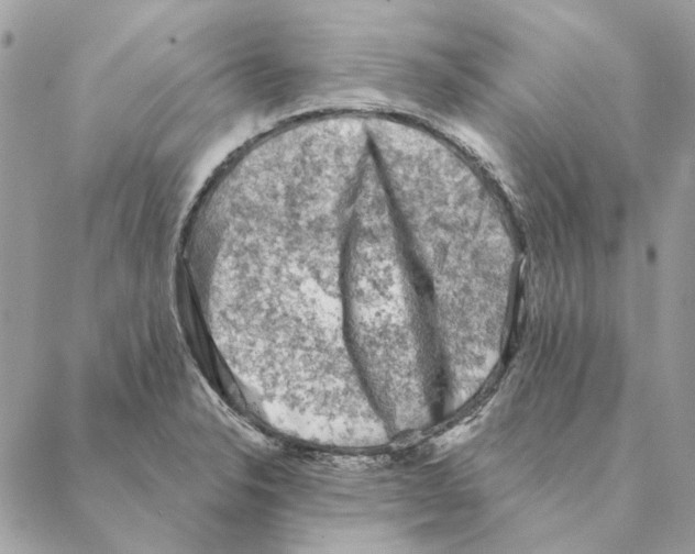 X0000088221326200706121820