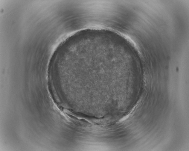 X0000088221327200706121820