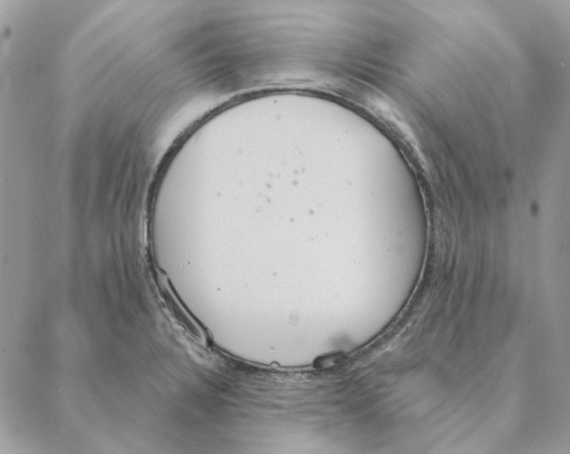 X0000088221328200706121820