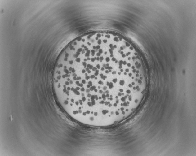 X0000088221329200706121820