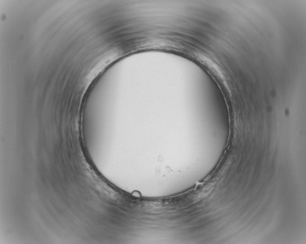 X0000088221330200706121820