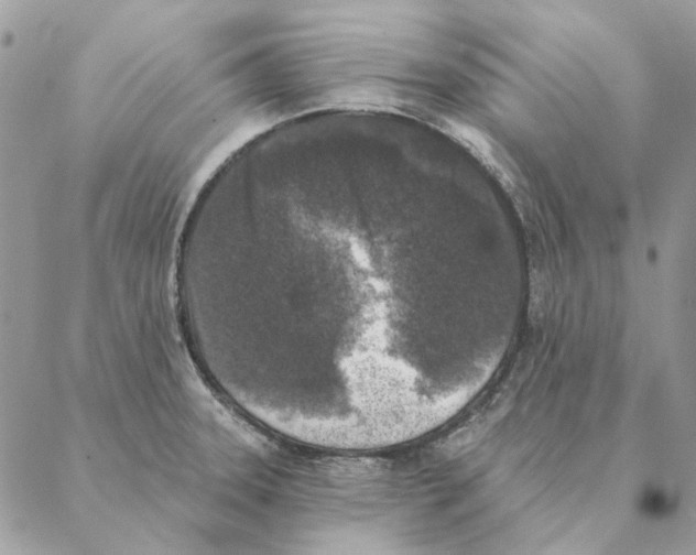 X0000088221331200706121820