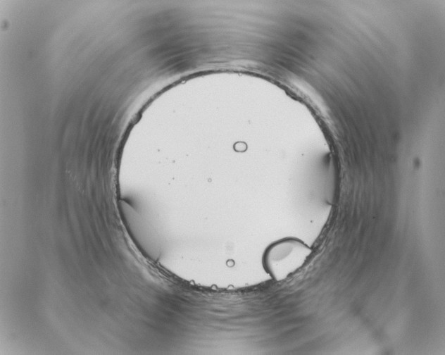 X0000088221332200706121820