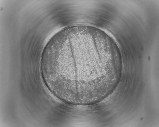 X0000088221333200706121820