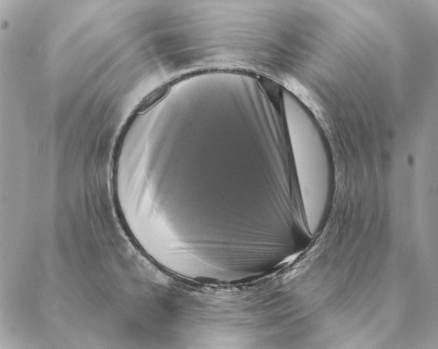 X0000088221334200706121820