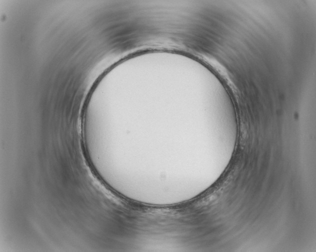 X0000088221335200706121820