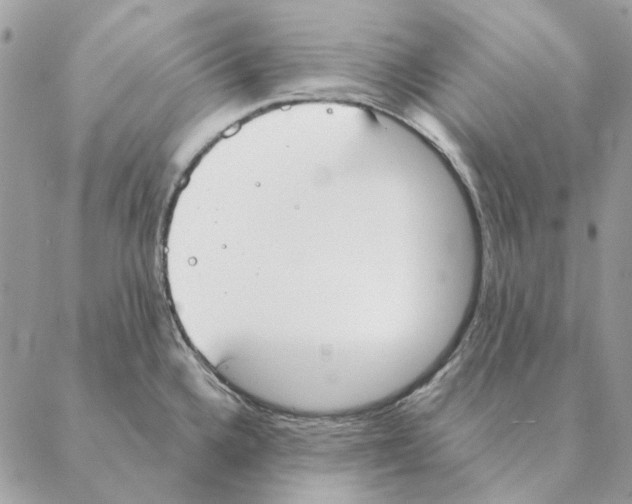 X0000088221336200706121821