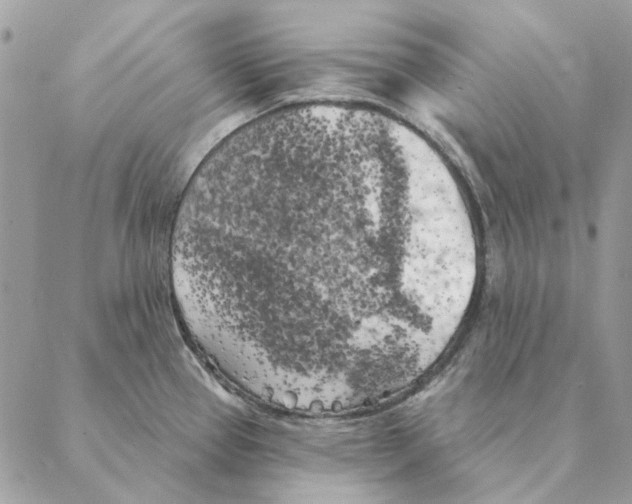 X0000088221337200706121821