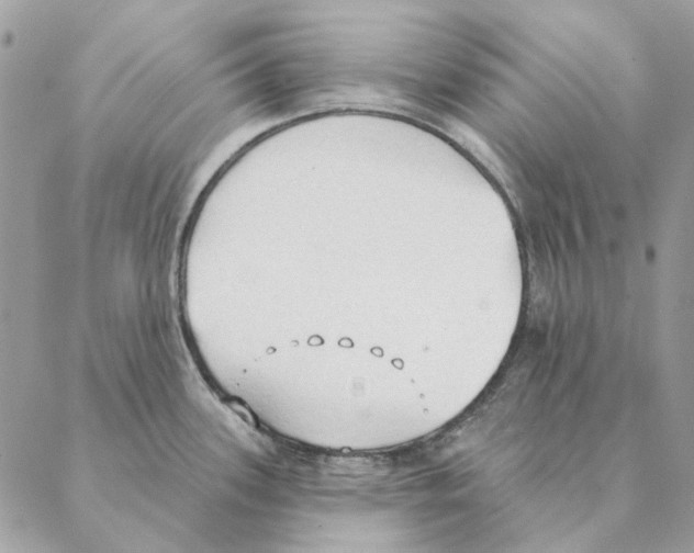 X0000088221339200706121821