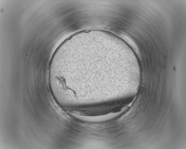 X0000088221340200706121821