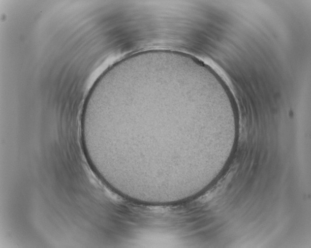 X0000088221341200706121821